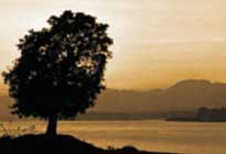 Reni Pani jungle lodge Satpura National Park