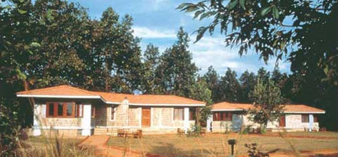 The Royal Tiger Resort, The Royal Tiger Resort At Kanha,Kanha National Park,Kanha Tiger Reserve,Tigers in Kanha.