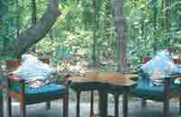 The Royal Tiger Resort, The Royal Tiger Resort At Kanha,Kanha National Park,Kanha Tiger Reserve,Tigers in Kanha.