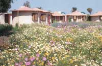 Jewel of the Jungle Panna,Jewel Jungle Resort Panna,Panna Wildlife Resort,Panna Wildlife Jungle Resort,Panna Jungle Resort,Jungle Lodge In Panna,Panna Wildlife Lodge,Wildlife Resorts In Panna National Park.