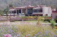 Jewel of the Jungle Panna,Jewel Jungle Resort Panna,Panna Wildlife Resort,Panna Wildlife Jungle Resort,Panna Jungle Resort,Jungle Lodge In Panna,Panna Wildlife Lodge,Wildlife Resorts In Panna National Park.