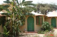 Jewel of the Jungle Panna,Jewel Jungle Resort Panna,Panna Wildlife Resort,Panna Wildlife Jungle Resort,Panna Jungle Resort,Jungle Lodge In Panna,Panna Wildlife Lodge,Wildlife Resorts In Panna National Park.