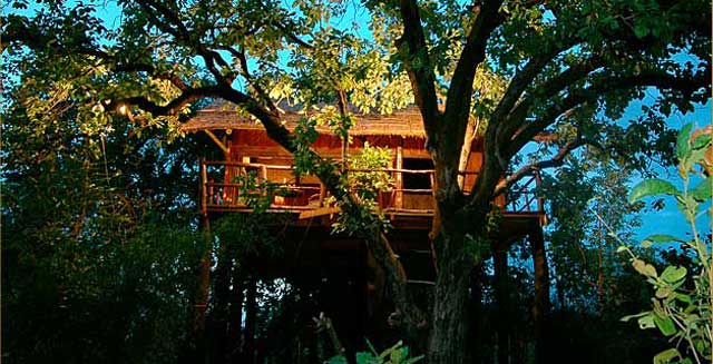 Tree House Hideaway,Tree House Bandhavgarh National Park, Tree House Hideaway Madhya Pradesh, Tree House Madhya Pradesh, discount tariff / rates/ pricelist