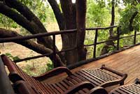 Tree House Hideaway,Tree House Bandhavgarh National Park, Tree House Hideaway Madhya Pradesh, Tree House Madhya Pradesh, discount tariff / rates/ pricelist