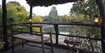 Tree House Balcony View