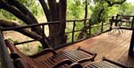 Tree House Balcony