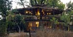 Tree House Restaurant View