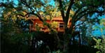 Tree-House