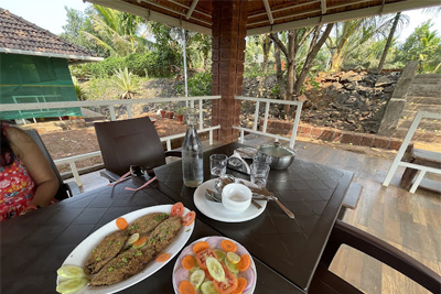 Rivanta Farm, chiplun, Maharashtra 