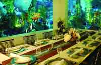 Hotel Sahara Star Mumbai, Sahara Star Hotel, Airport Sahara Star Hotel Mumbai,Booling/Reservation of Sahara Star Hotel Mumbai.