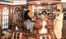 The Ark Bar - Sea princess hotel