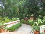 Beautiful Huge Garden