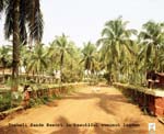 Coconut Lagoon