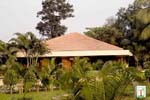Cottage Surrounded