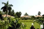 Cottages
