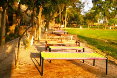 The Village Farm Punjab