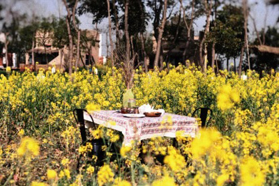 The Village Farm Punjab