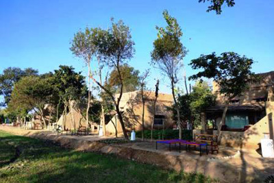 The Village Farm Punjab