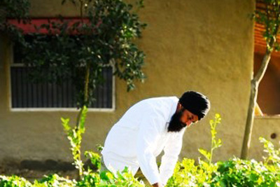 The Village Farm Punjab