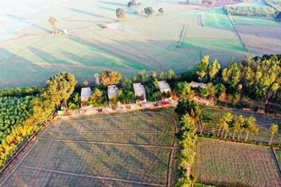 The Village Farm Punjab
