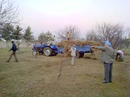 tractor