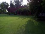 lawnbackwall