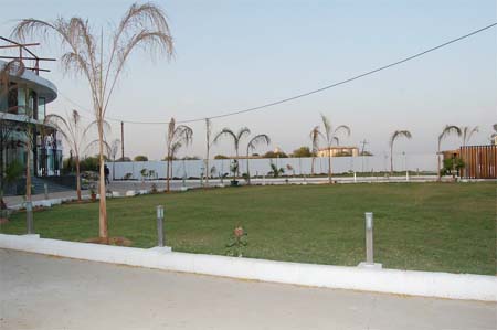 Lawn