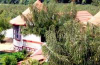 Green Park Resort, Pushkar, Ajmer Rajasthan & Discounted hotel Tariff , Green Park Resort Pushkar, special price list.