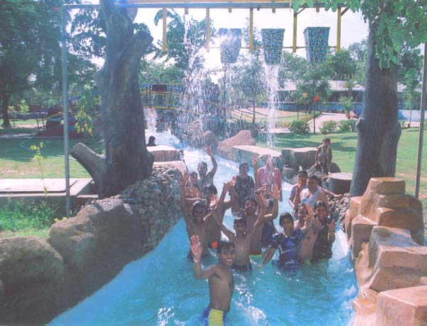 Pink Pearl  Fun City 6
