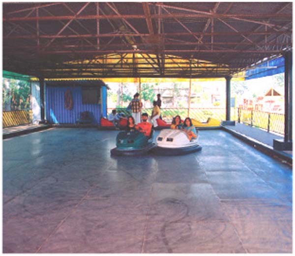 Pink Pearl  Fun City 7