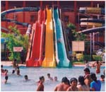 Pink Pearl  Fun City 2