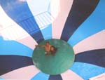 Pink Pearl  Fun City 5