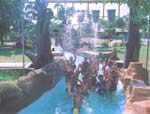 Pink Pearl  Fun City 6