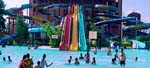 Pink Pearl  Fun City W2