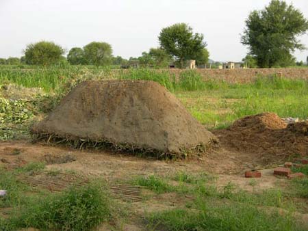 COMPOST01