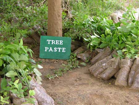 COMPOSTING-(4)