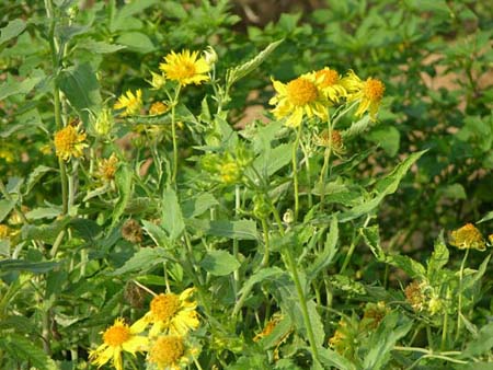 DSCN1913