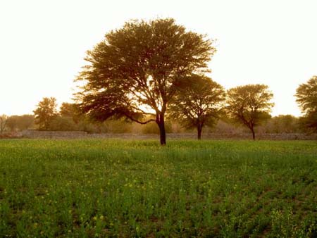 PICT0050