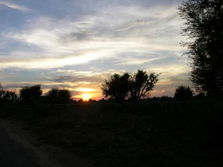 SUNSET06