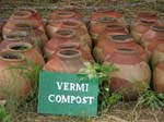 COMPOSTING-(2)