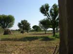 DSCN1937