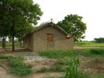 ECO-FRIENDLY-HOUSE