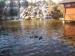 The Water House Resort Jaipur a1