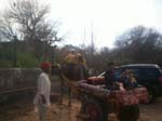 The Water House Resort Jaipur d6