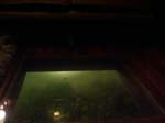 The Water House Resort Jaipur e