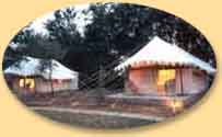Sher bagh resort in Ranthambhore 