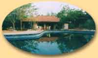 Tiger moon resort in Ranthambhore 
