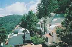 Resort Yercaud