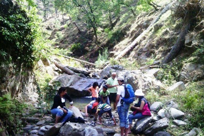 Binsar Jungle Cottage

