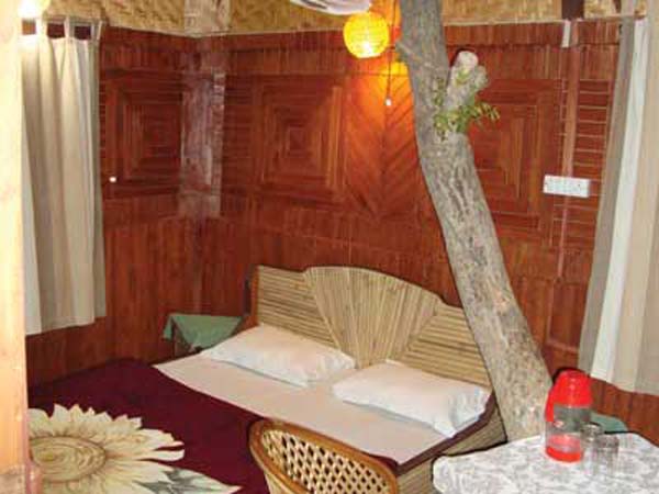 Ashoka_Tiger_Trail_Treehouse_View
